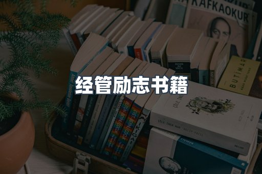 经管励志书籍